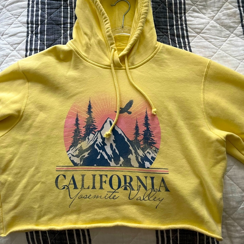 Medium hollister cropped hoodie.